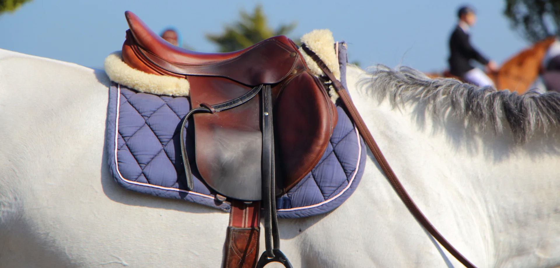 Western Cowboy Equipment 1 Western Cowboy Equipment -Western Cowboy Equipment 1