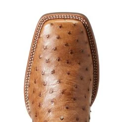 Ariat Men`s Quantum Primo Ranger FQ Ostrich 11` Beam Brown Top Square Toe Boots -Western Cowboy Equipment 10040281 4