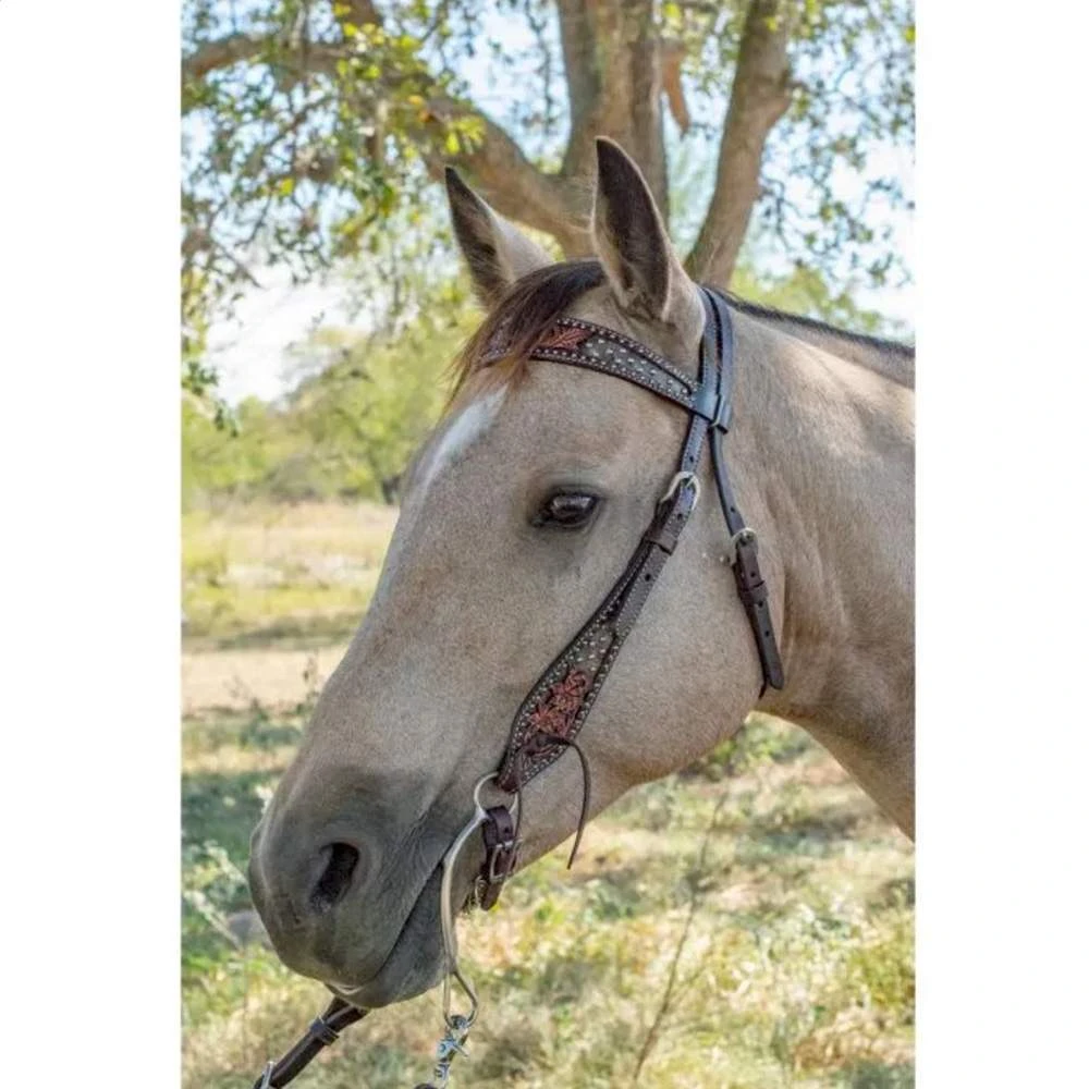 Circle Y Saddlery Dark Flash Arizona Flower Browband Headstall 6 Circle Y Saddlery Dark Flash Arizona Flower Browband Headstall - Image 4