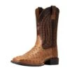 Ariat Men`s Quantum Primo Ranger FQ Ostrich 11` Beam Brown Top Square Toe Boots -Western Cowboy Equipment 146659 default l