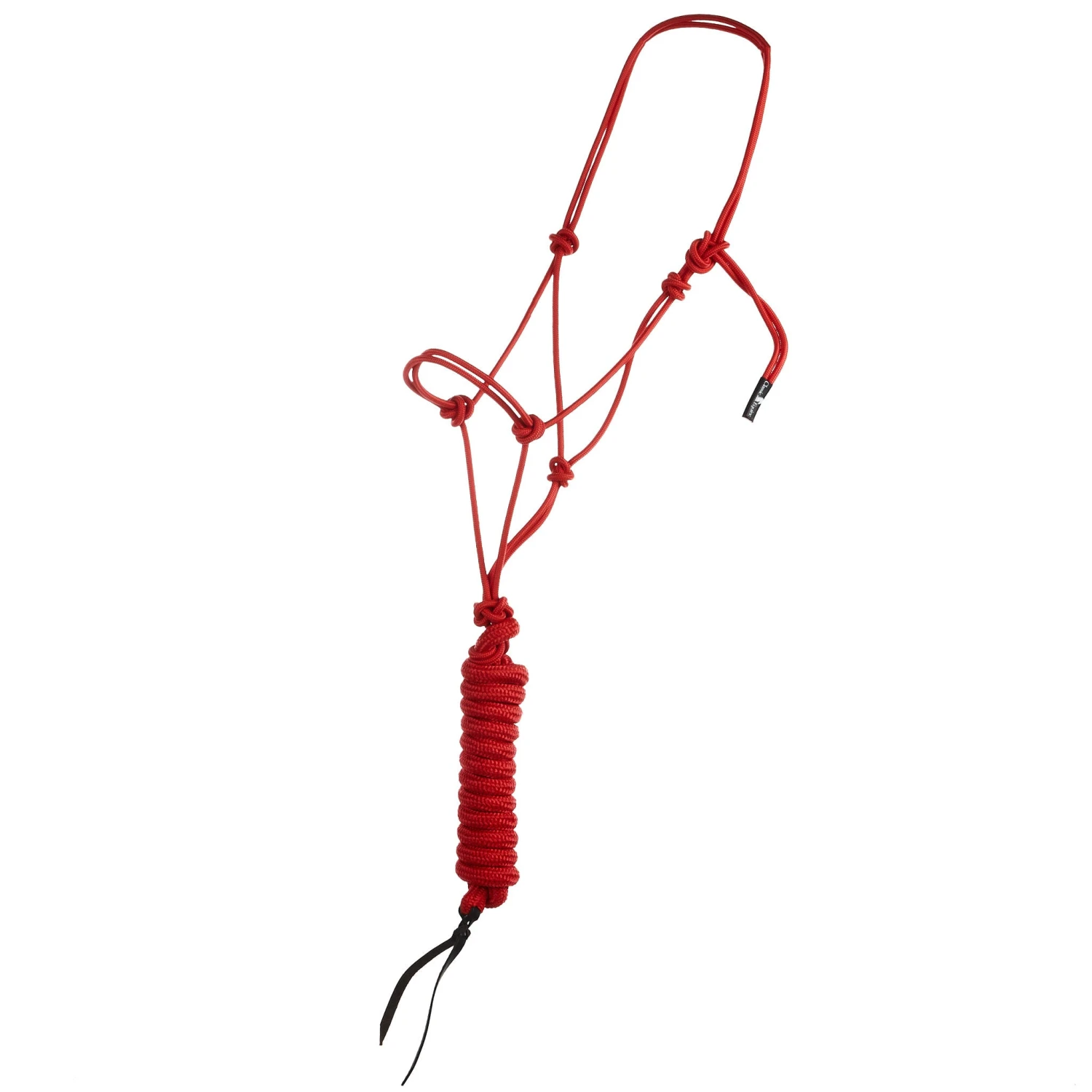 Classic Econo Halter And 9-Foot Leadrope 10 Classic Econo Halter And 9-Foot Leadrope - Image 8