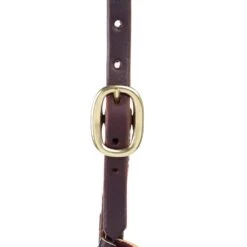 Western Cowboy Equipment -Western Cowboy Equipment HDST21 1