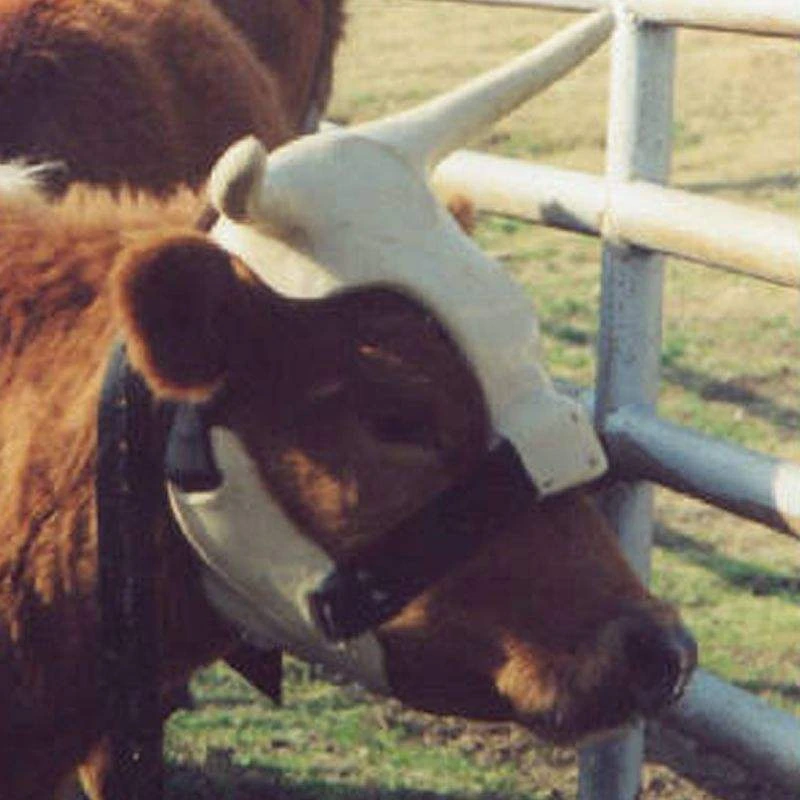 NRS Strap On Muley Horns 5 NRS Strap On Muley Horns - Image 3